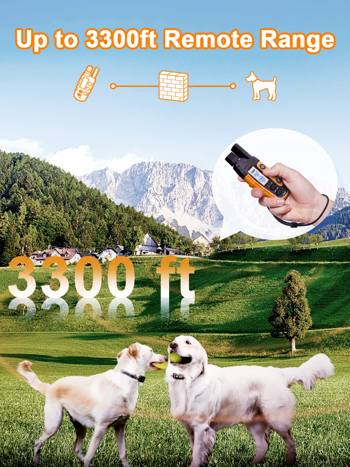 BOUSNIC remote control training device used for distant commands