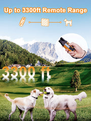 BOUSNIC remote control training device used for distant commands
