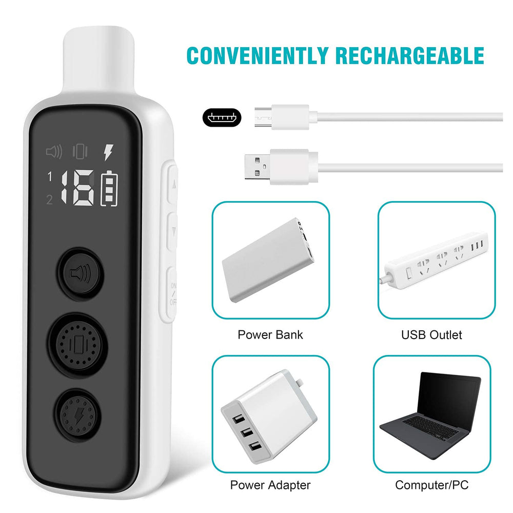 BOUSNIC dual-channel remote enables training two dogs with one device