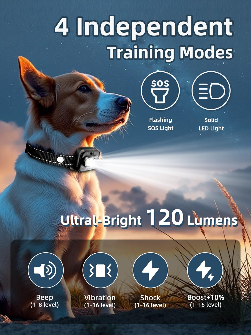 BOUSNIC shock collar LED SOS light enhances nighttime visibility during walks.