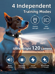 BOUSNIC shock collar LED SOS light enhances nighttime visibility during walks.
