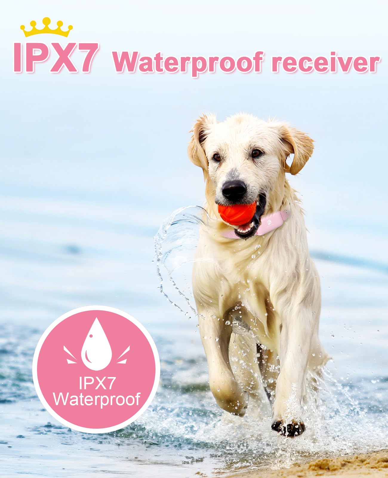 Bousnic shock collar waterproof IPX7 shell ready for outdoor adventures.