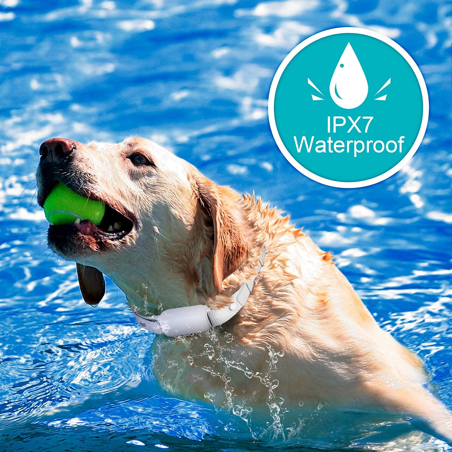 BOUSNIC waterproof IPX7 collar for rain or swims during outdoor activities