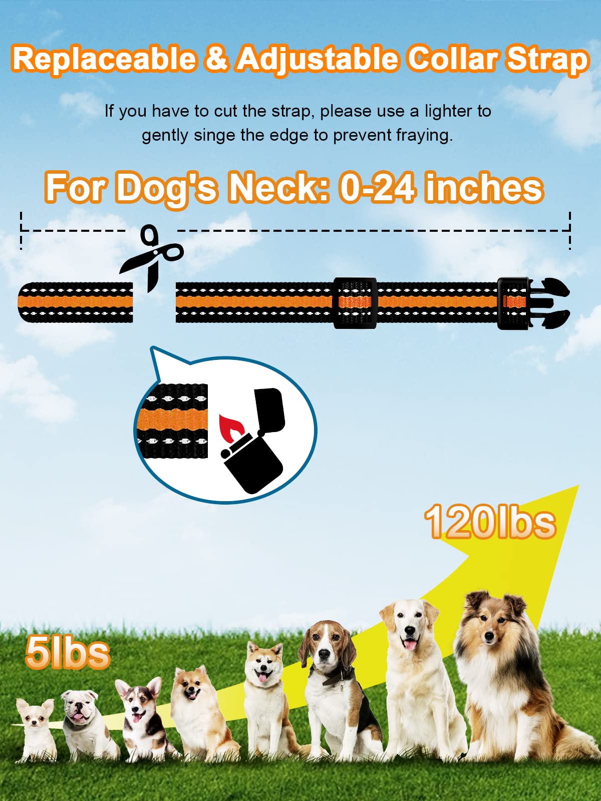 BOUSNIC two-dogs training setup enabling efficient corrections