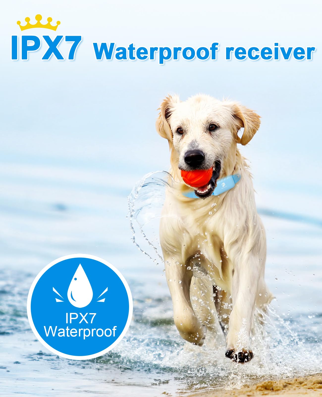 BOUSNIC waterproof shock collar during outdoor walk; IPX7 rated.