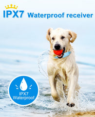 BOUSNIC waterproof shock collar during outdoor walk; IPX7 rated.