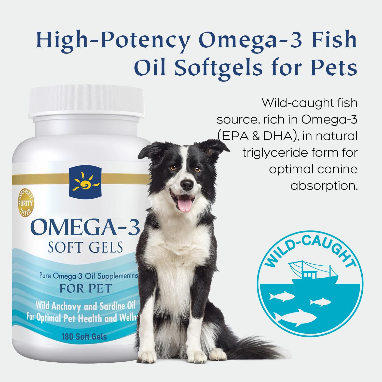 Bovi.InnateWell Omega-3 for dogs pouring oil over food supports coat health