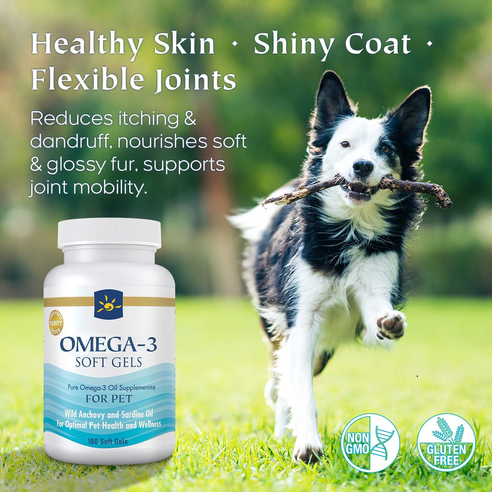 Bovi.InnateWell Omega-3 softgels close-up emphasizes unflavored supplement convenience