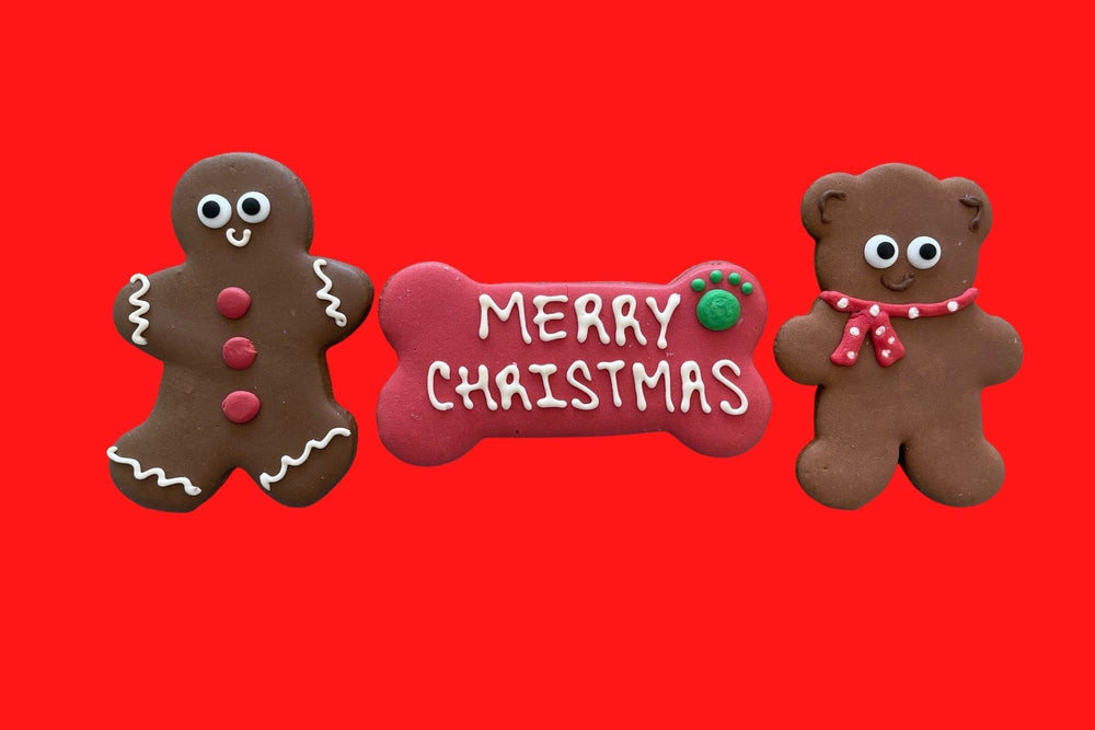 BoxDog cookies frosting-dusted treats on a plate capture a playful holiday display.