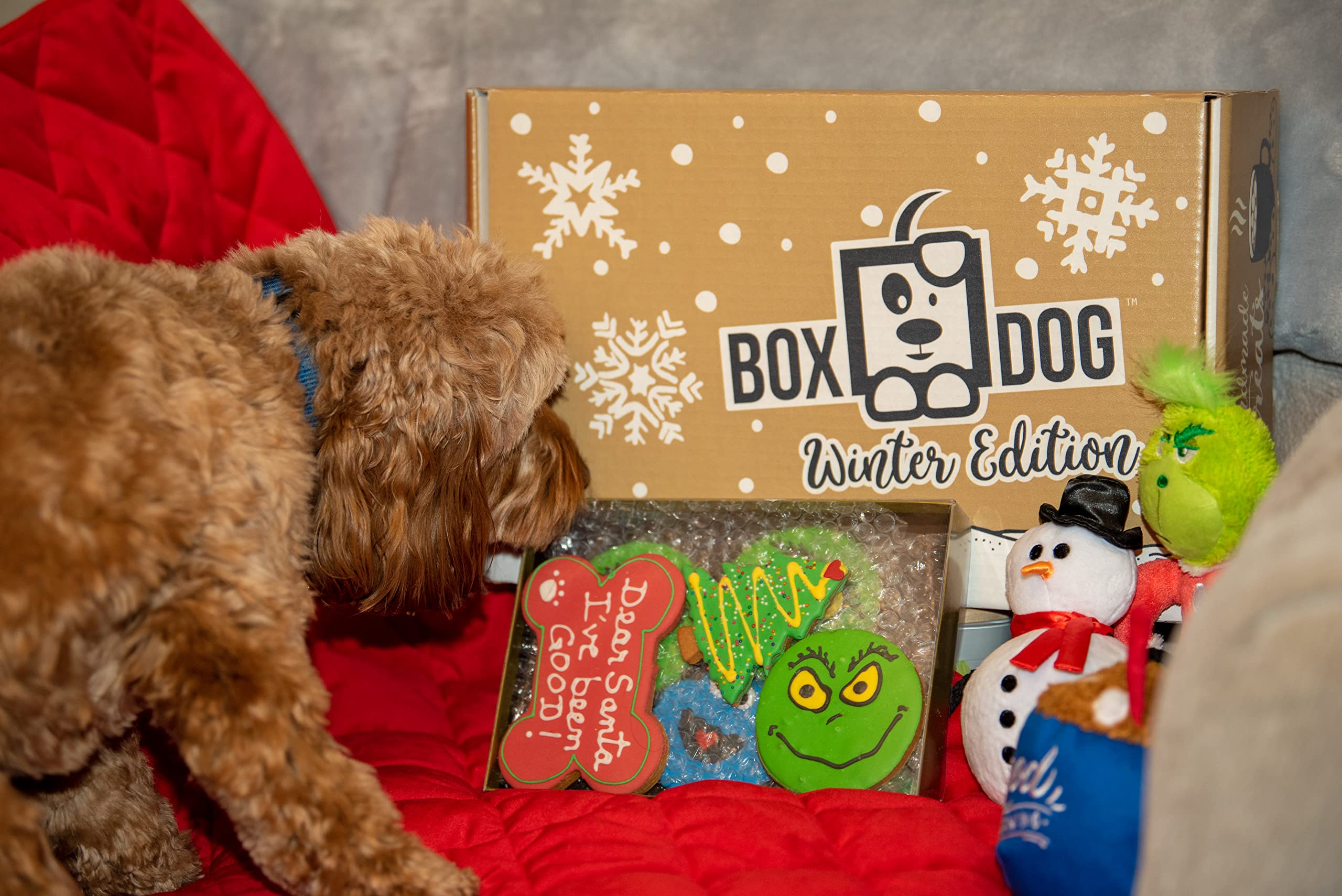 BoxDog Christmas cookies in festive gift tin signal a thoughtful seasonal present.