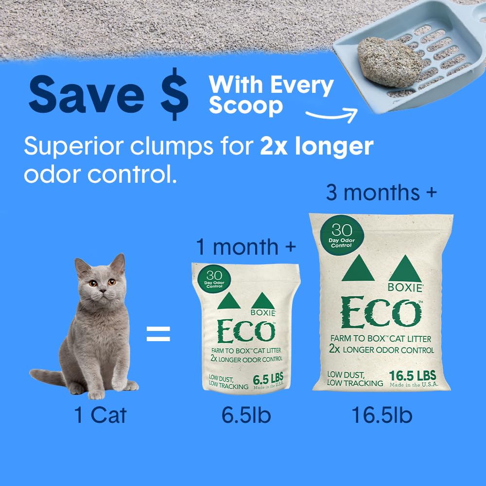 Boxiecat Eco Farm to Box at-home setup promotes tidy litter routines.