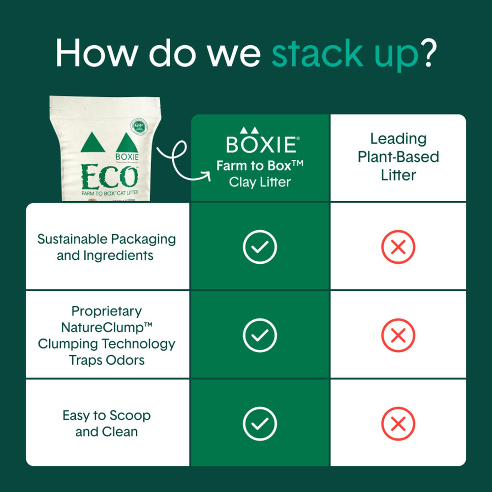 Boxiecat Eco Farm to Box easy scoop demonstrates quick cleaning.