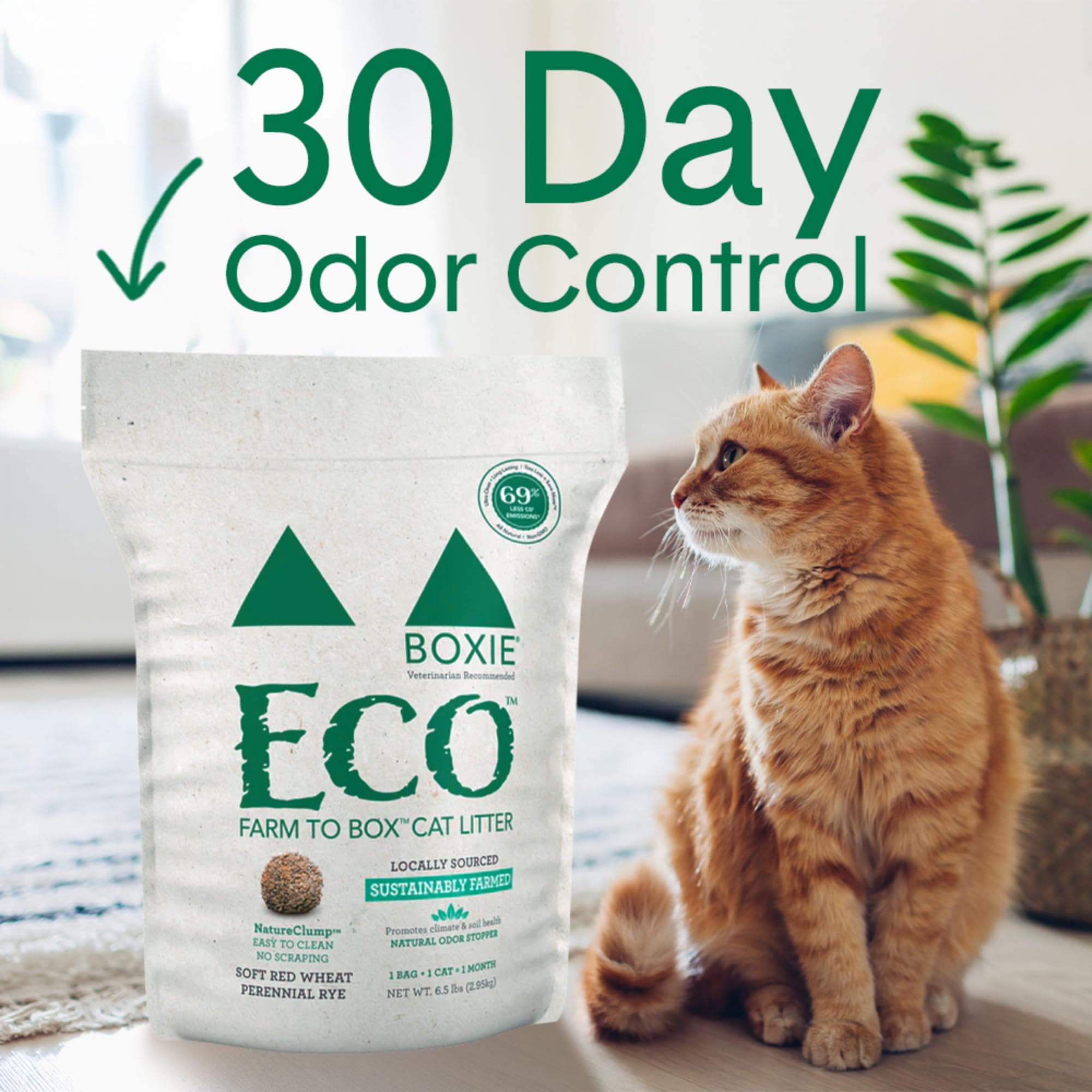 Boxiecat Eco Farm to Box litter bag shows lightweight packaging for easy storage.