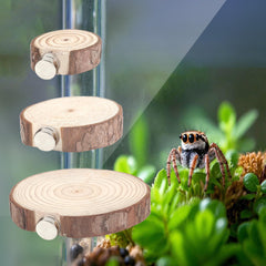 BOXOB arboreal spider habitat platform enhances climbing and exploration opportunities.