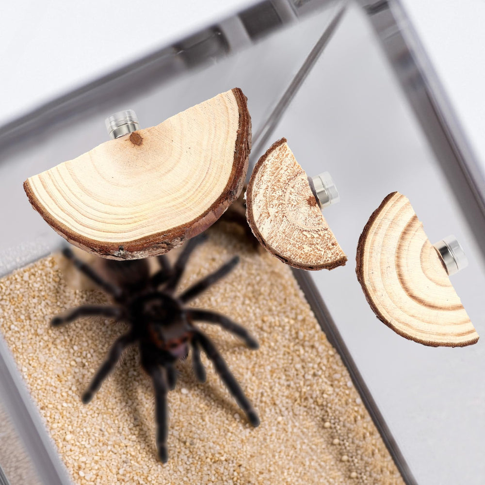 BOXOB magnetized ledges closeup show secure placement in enclosures