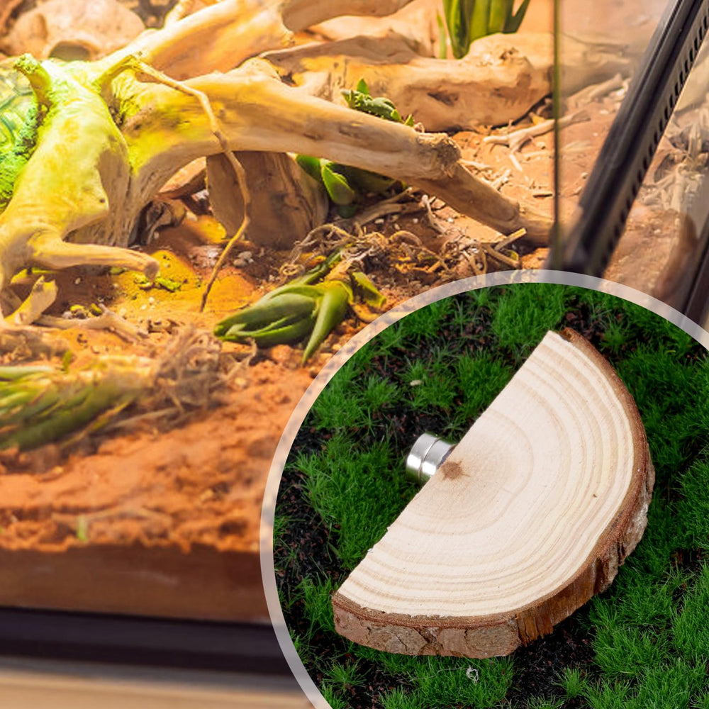 BOXOB ledges support exploration setups for arboreal invertebrates