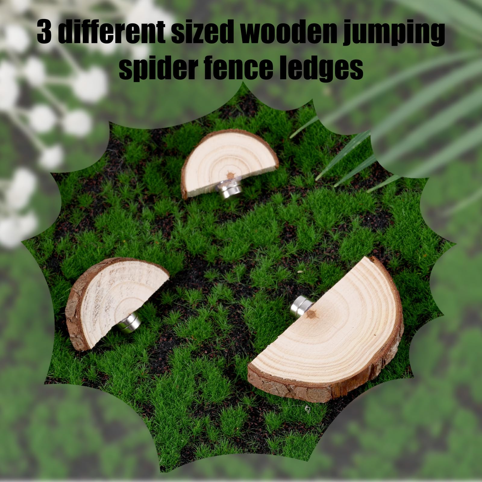 BOXOB ledges with magnetic attachment help secure arboreal habitats