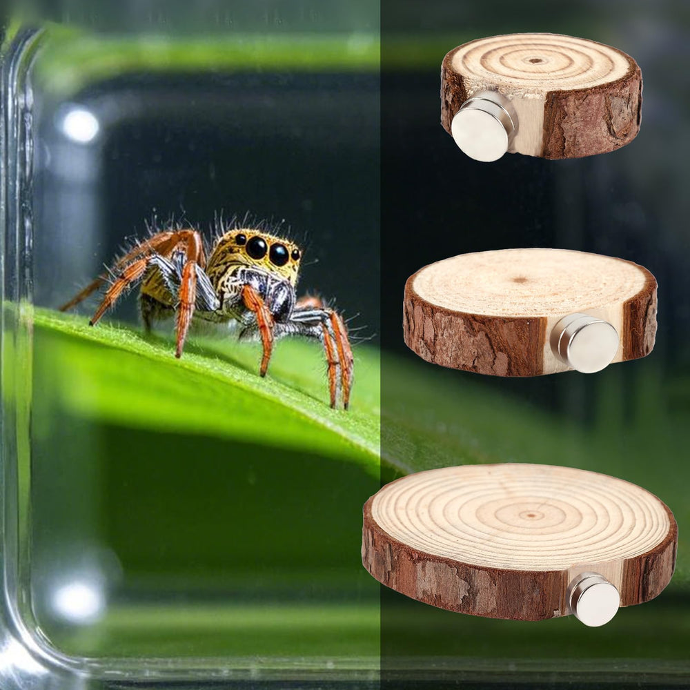 BOXOB enclosure accessory pack improves enrichment with multiple sizes.