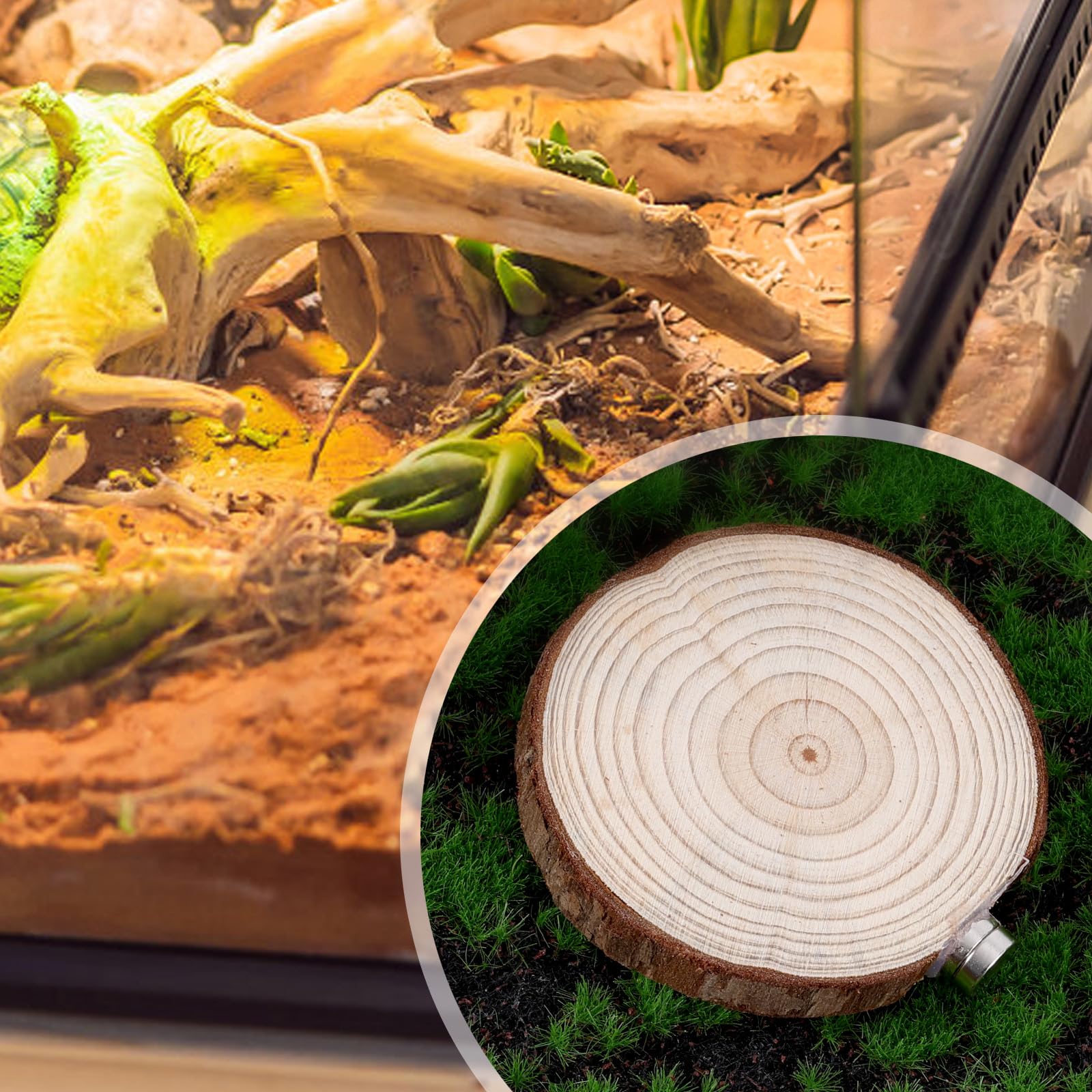 BOXOB wood and iron materials provide durable, natural-feeling habitat accessories.