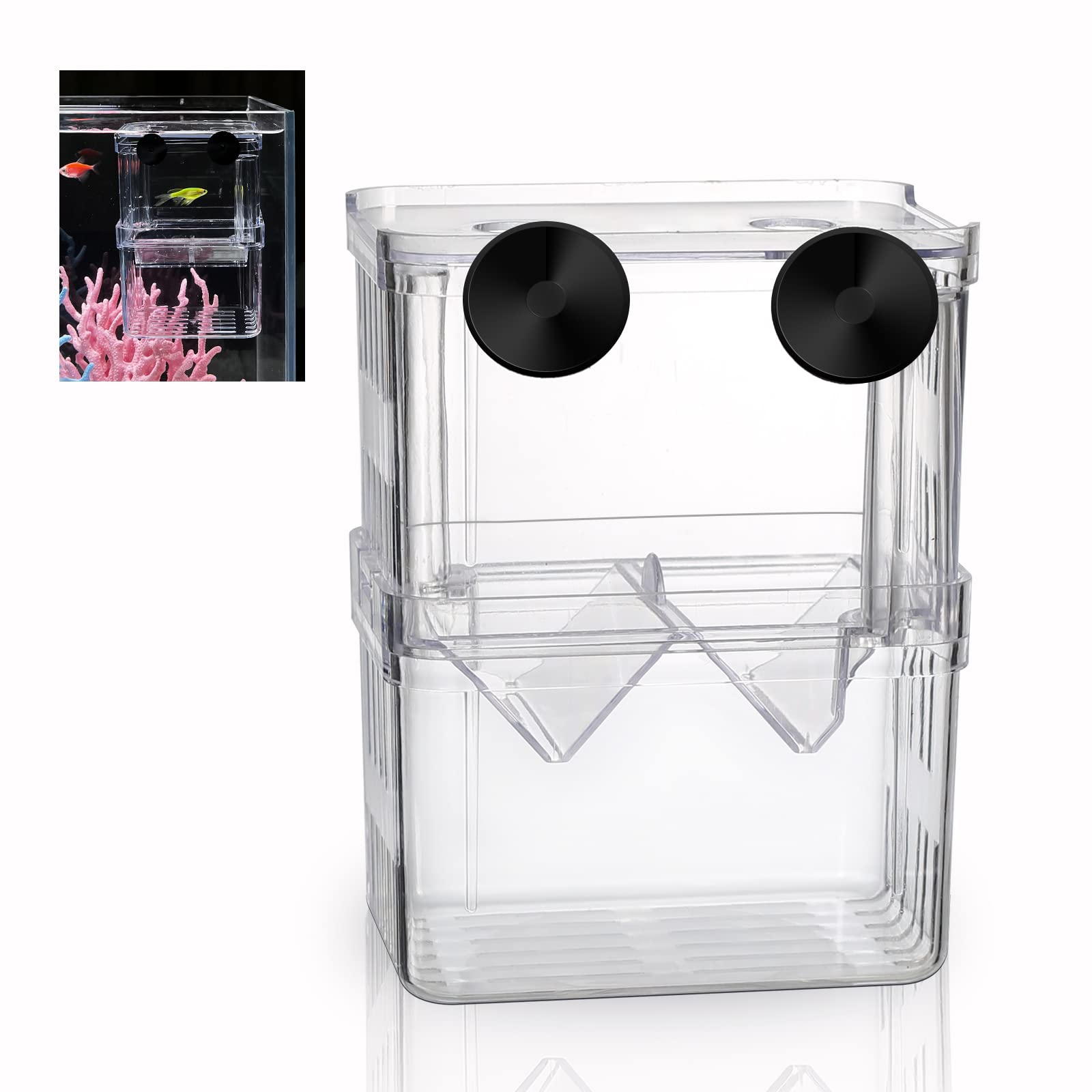 Boxtech hatchery box front view showing crystal-clear acrylic for easy fry monitoring