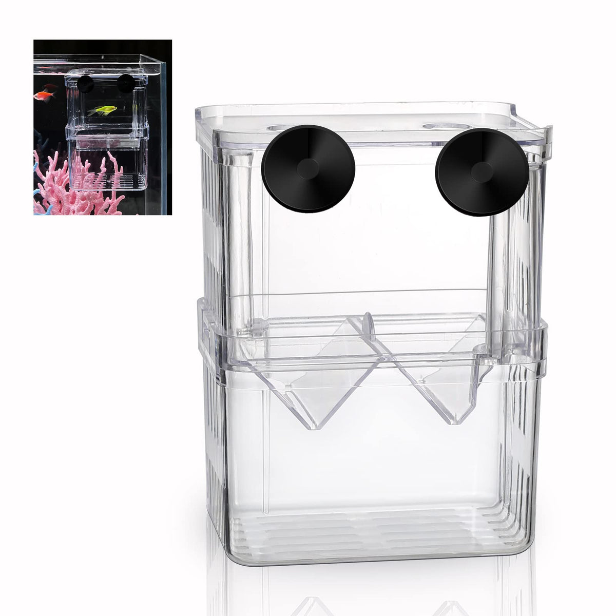 Boxtech hatchery box front view showing crystal-clear acrylic for easy fry monitoring