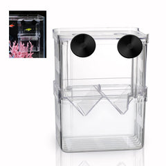 Boxtech hatchery box front view showing crystal-clear acrylic for easy fry monitoring