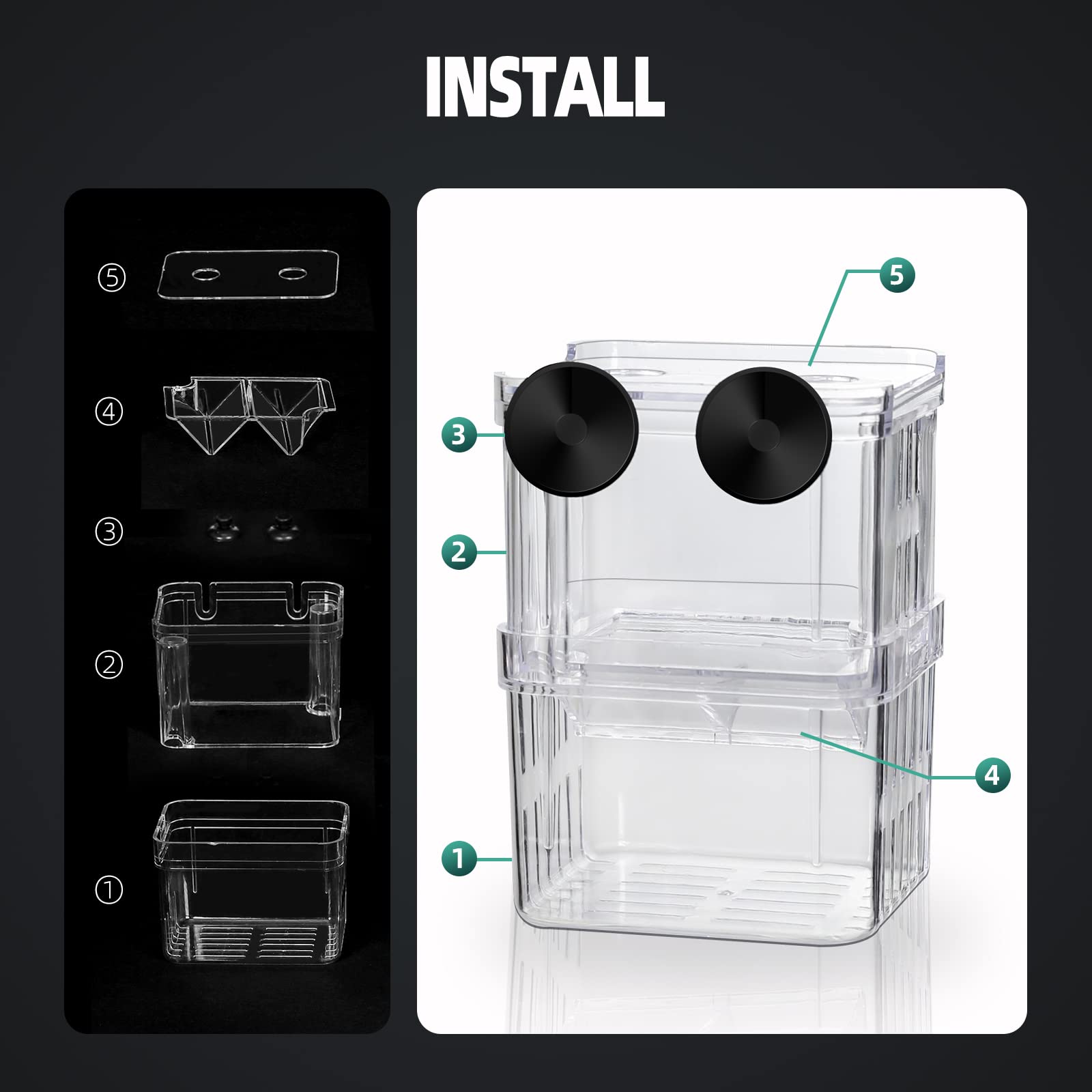 Boxtech hatchery box with thriving baby fish demonstrates practical breeding setup