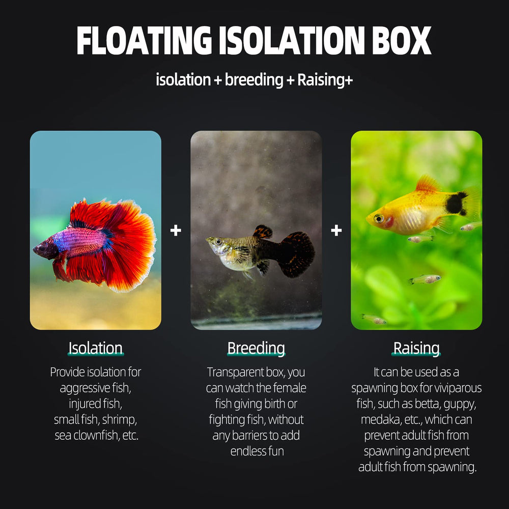 Boxtech hatchery divider in-use image showing isolation for sick or injured fish