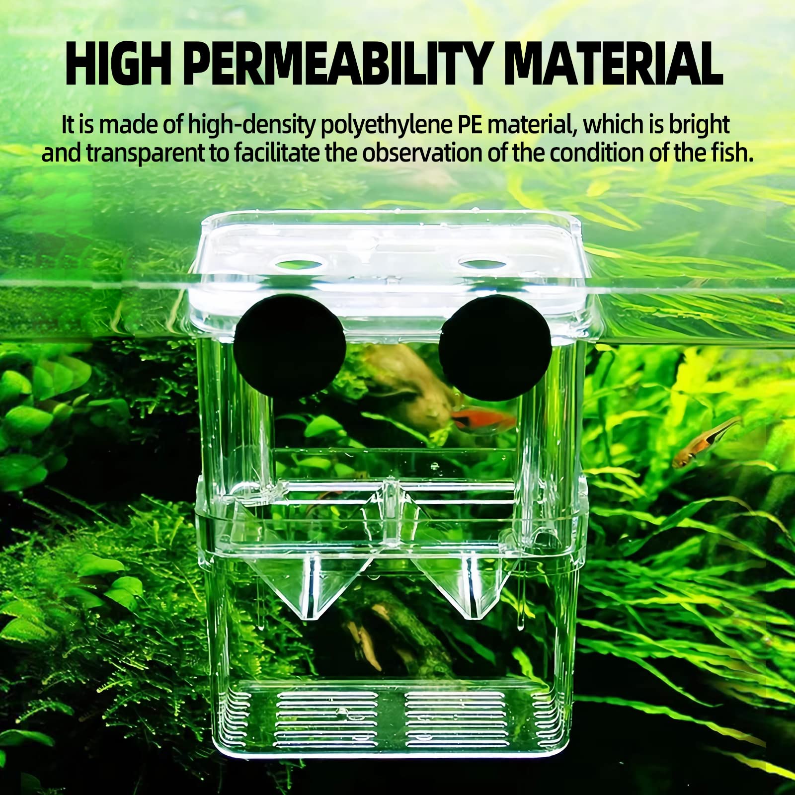 boxtech breeding box bottom grille image illustrates debris-free interior and clean feeding
