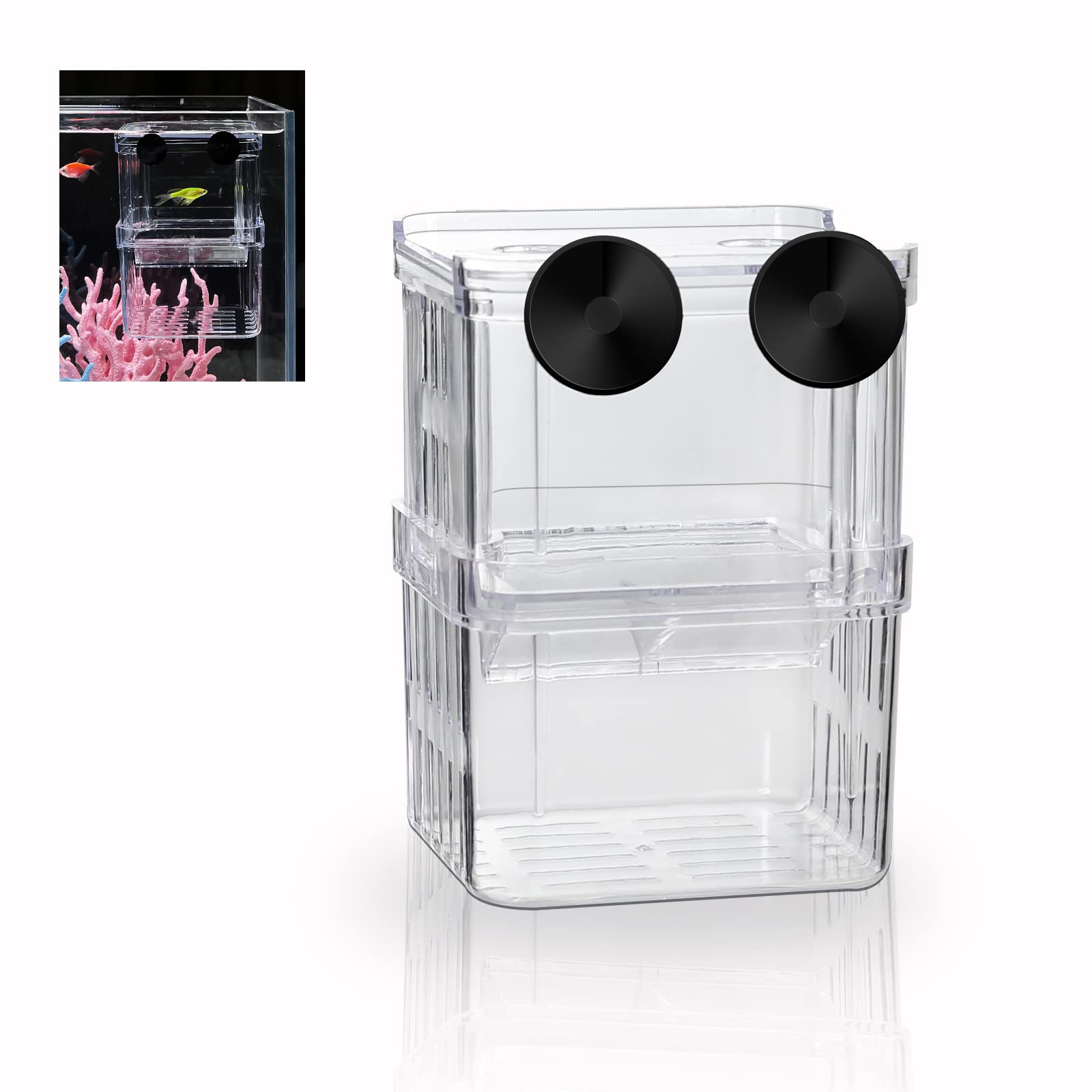 boxtech breeding box fish tank hatchery shows clear visibility for fry care and safe isolation