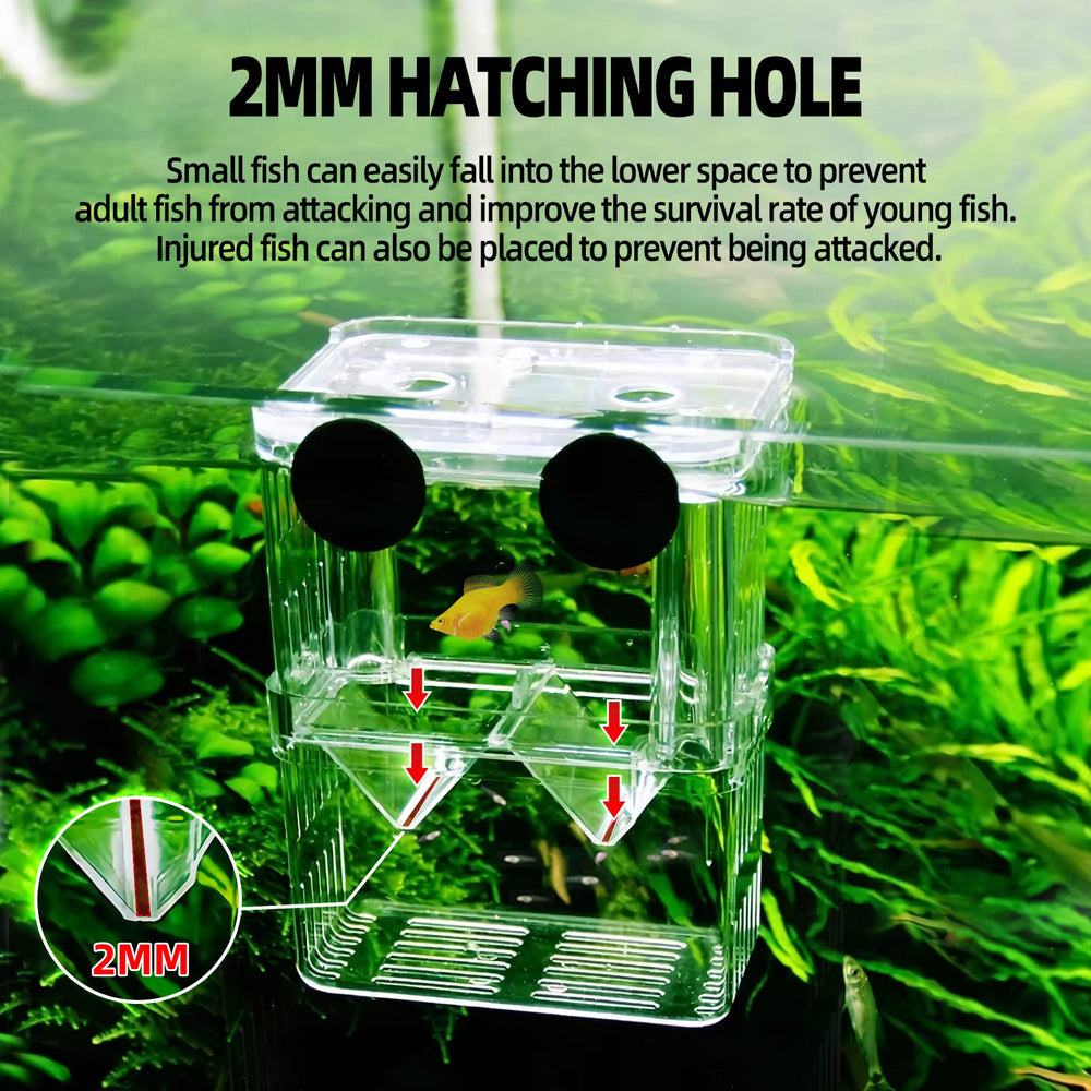 boxtech breeding box suction-cup mount shows secure wall placement for easy setup