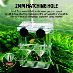 boxtech breeding box suction-cup mount shows secure wall placement for easy setup