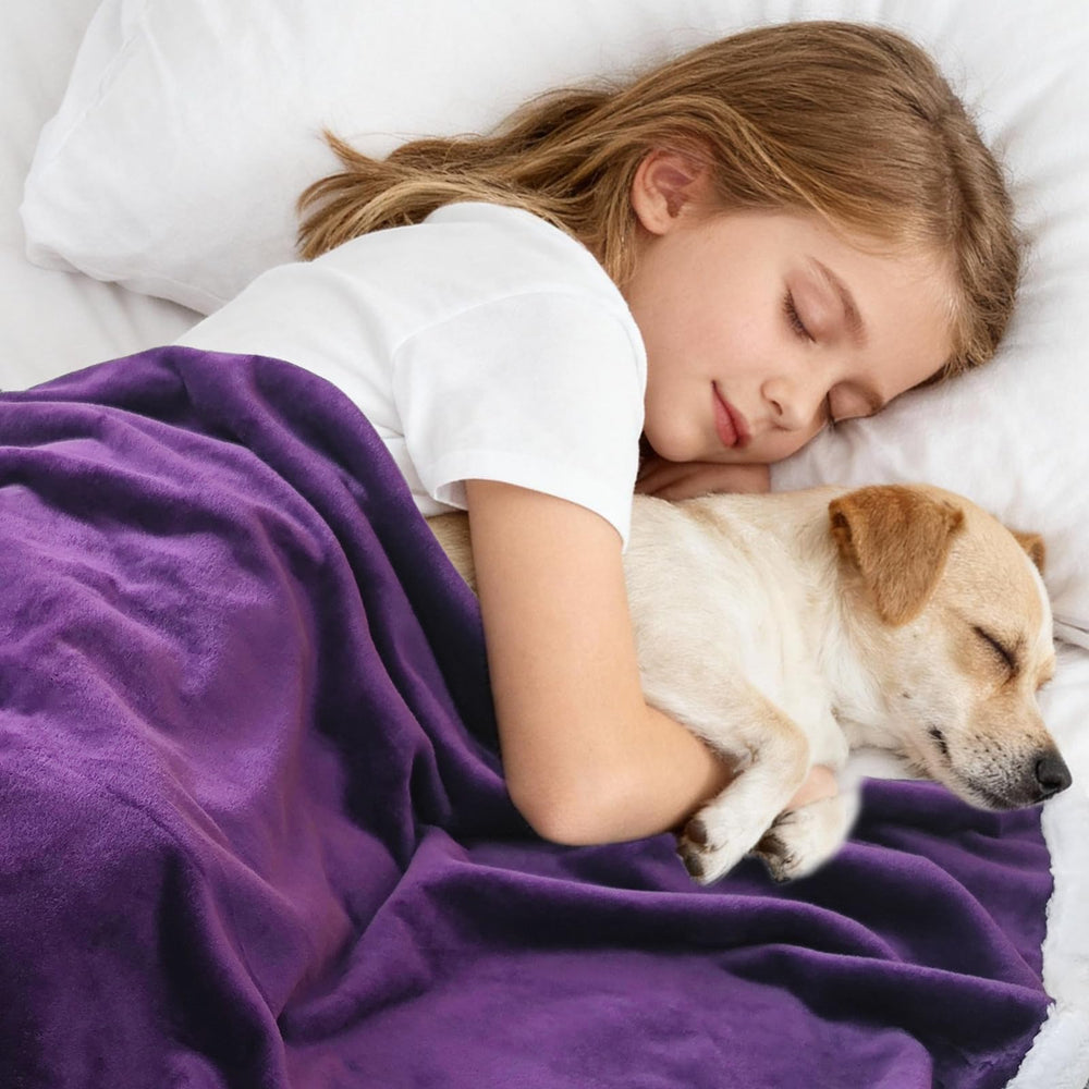 BoxZone compact 40x28 dog blanket fits travel and everyday use.
