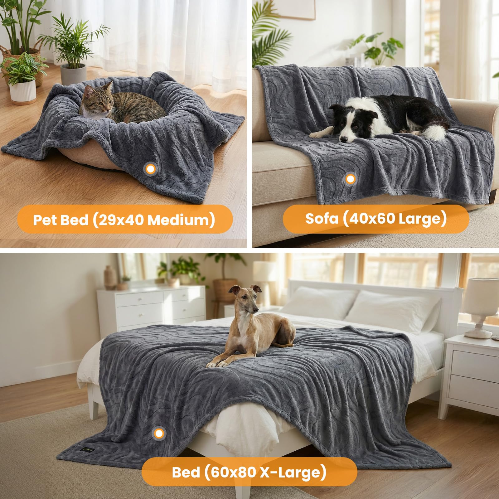 BoxZone durable stitching ensures long-lasting use through daily cuddles and adventures.