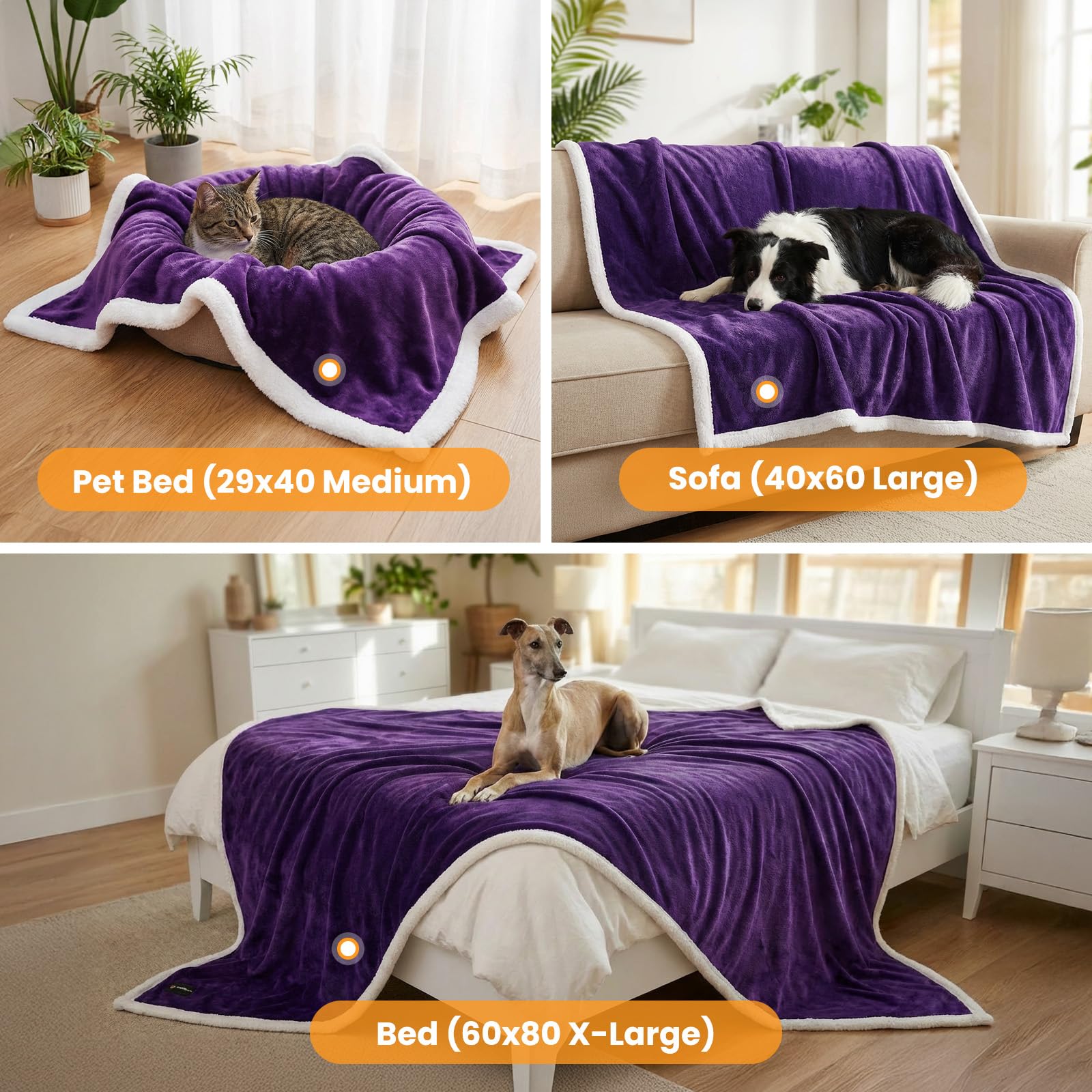 BoxZone puppy-cat-blanket reverse-flannel emphasizes cozy warmth for small pets.
