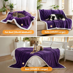 BoxZone puppy-cat-blanket reverse-flannel emphasizes cozy warmth for small pets.