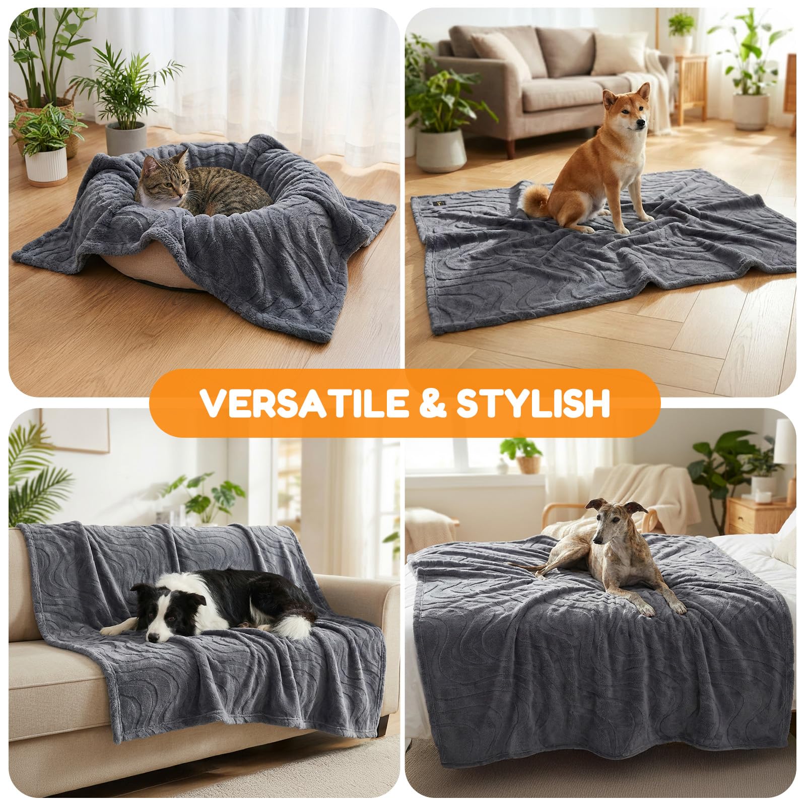 BoxZone 60x50 inch blanket suits dogs 10–30 kg for shared comfort.