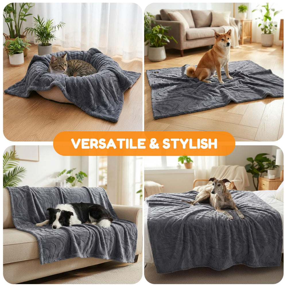 BoxZone 60x50 inch blanket suits dogs 10–30 kg for shared comfort.