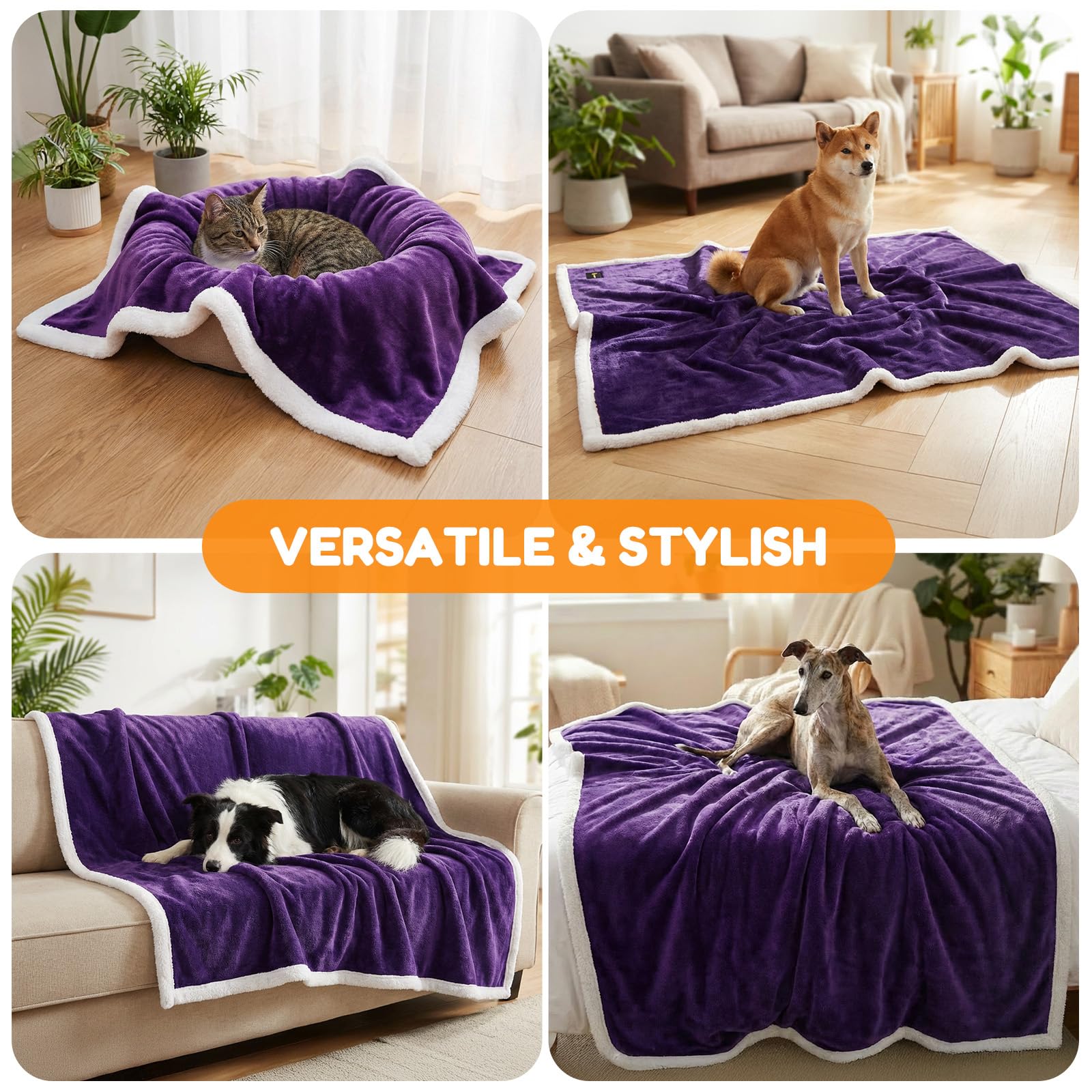 BoxZone warm-cozy puppy blanket demonstrates year-round comfort for small companions.