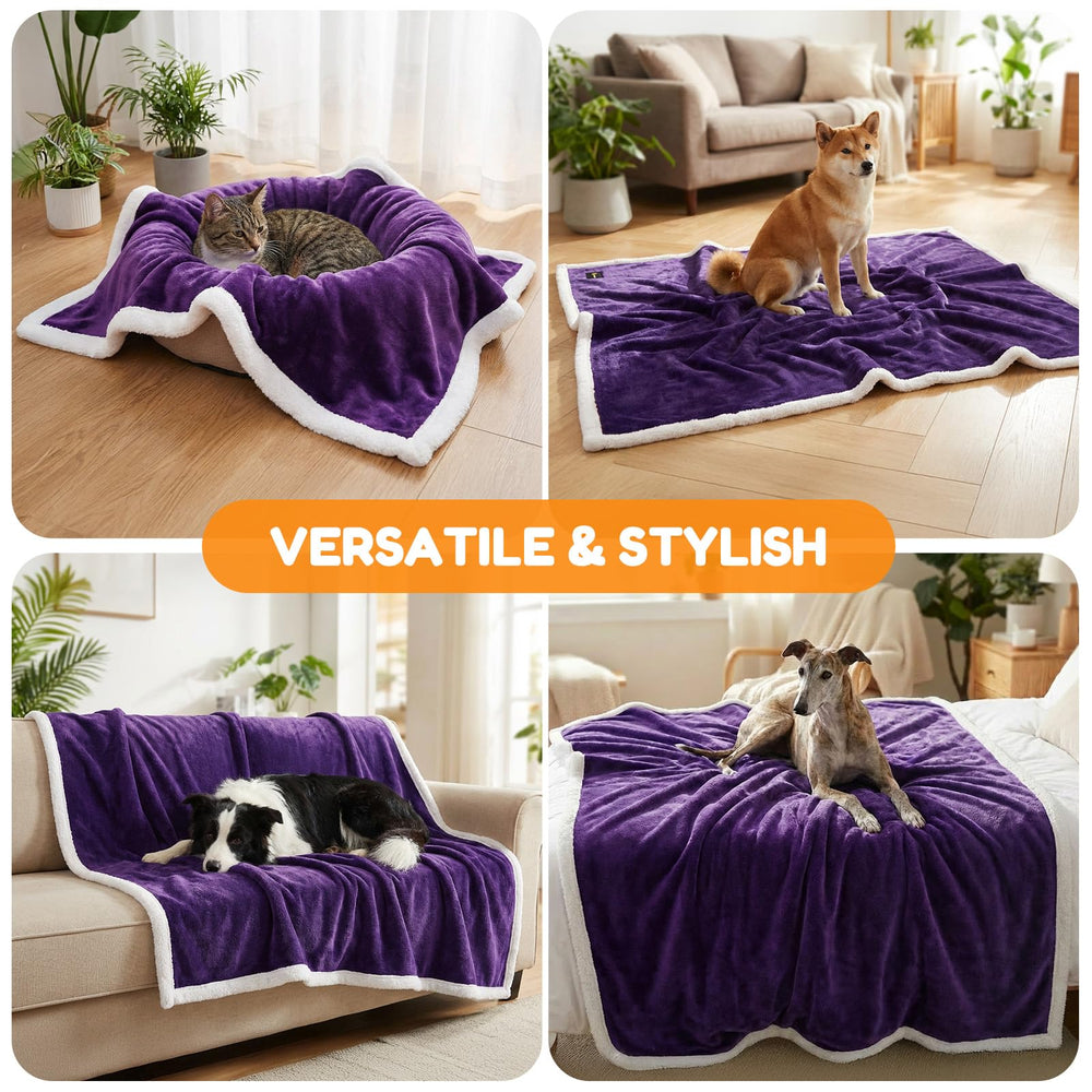 BoxZone warm-cozy puppy blanket demonstrates year-round comfort for small companions.