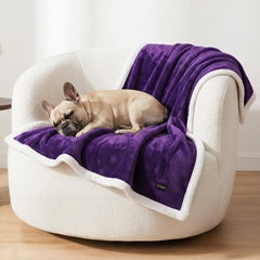 BoxZone Waterproof Dog Blanket fold protects furniture while keeping small dogs dry and comfy.