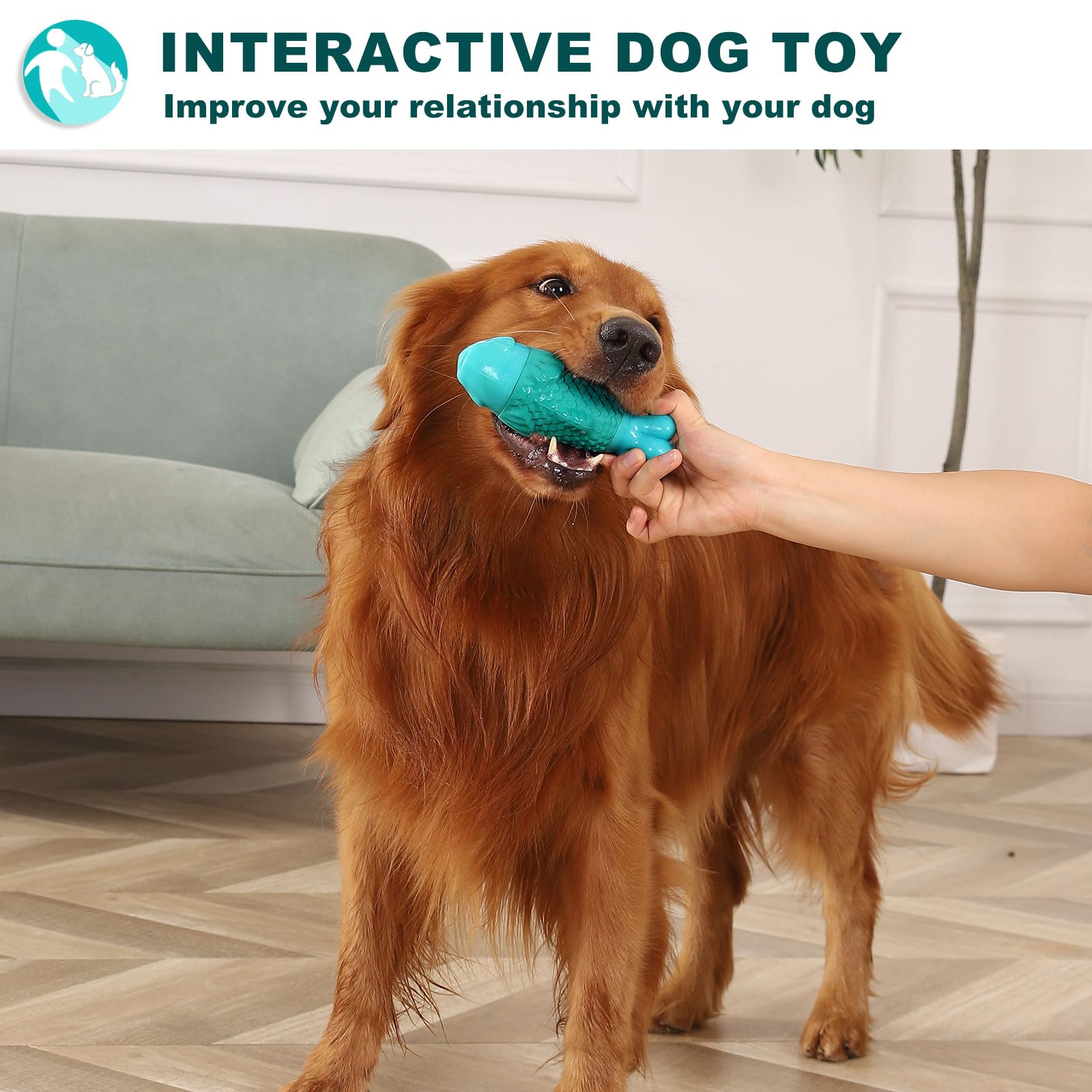 BoYoYo heavy-duty construction for aggressive chewers and longer sessions.