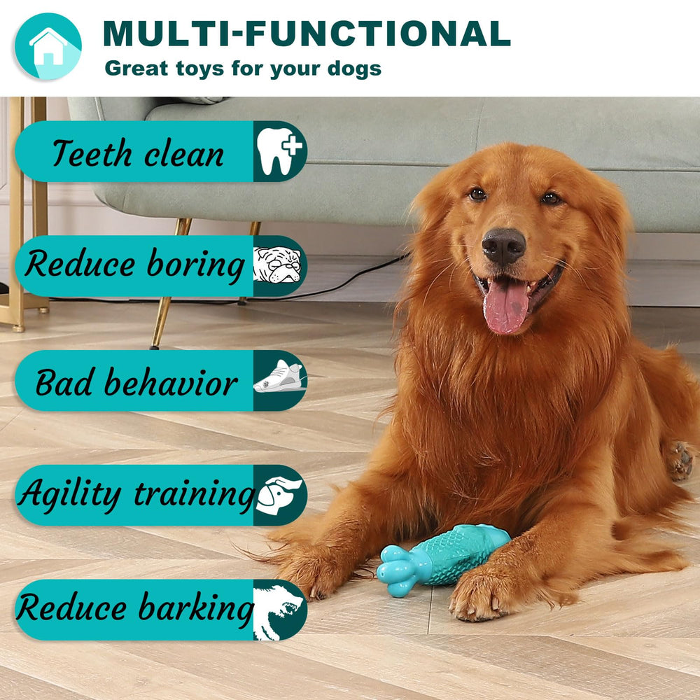 BoYoYo dog toy squeaky play prompt for curious chewers.