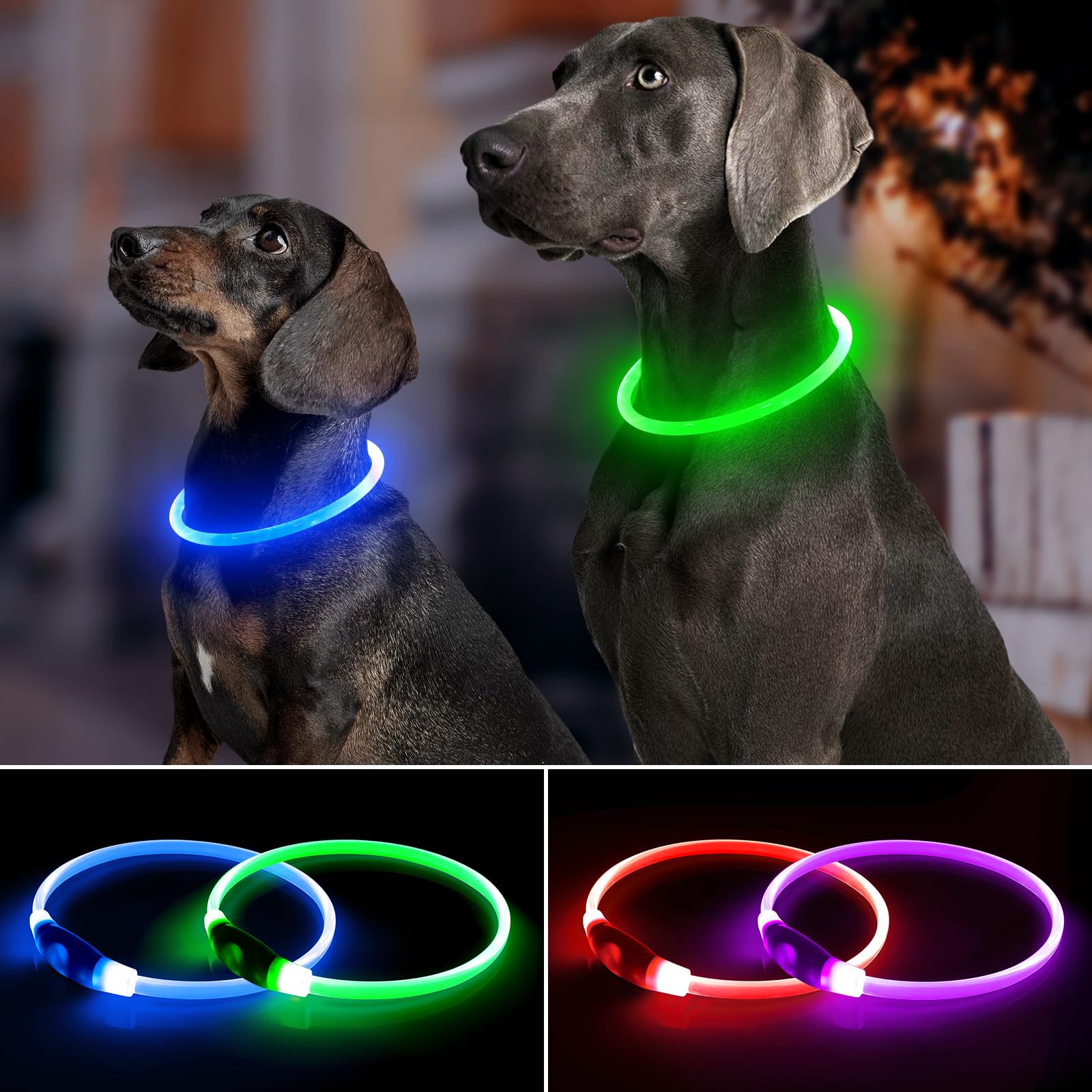Bpawser LED dog collar at night enhances safety during night walks.