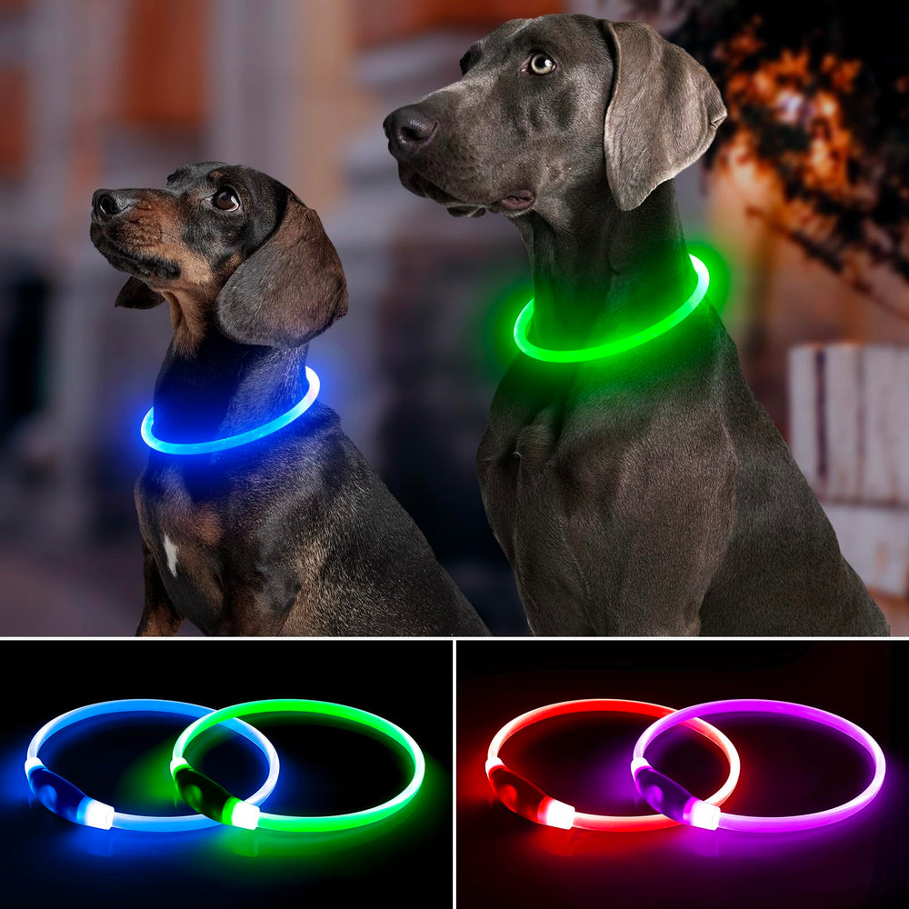 Bpawser LED dog collar at night enhances safety during night walks.