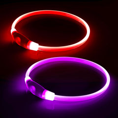 BPawser LED dog collar pink on boosts nighttime visibility for safe night walks.
