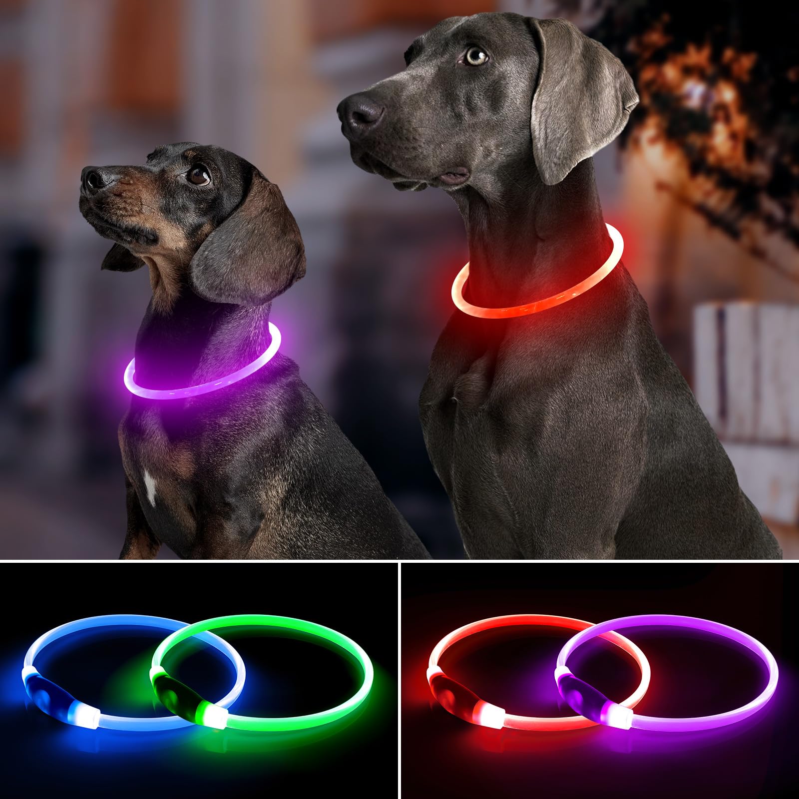 BPawser LED dog collar red on improves visibility during evening strolls.