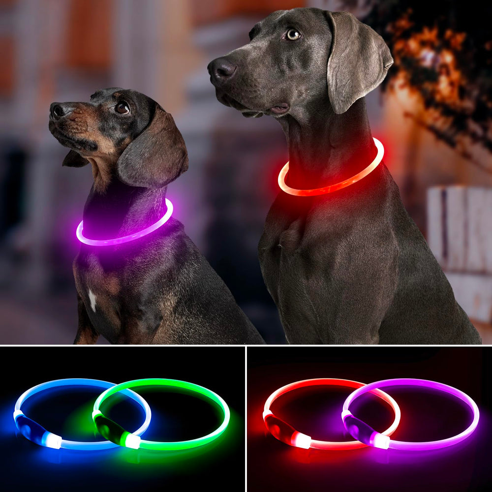 BPawser LED dog collar red on improves visibility during evening strolls.