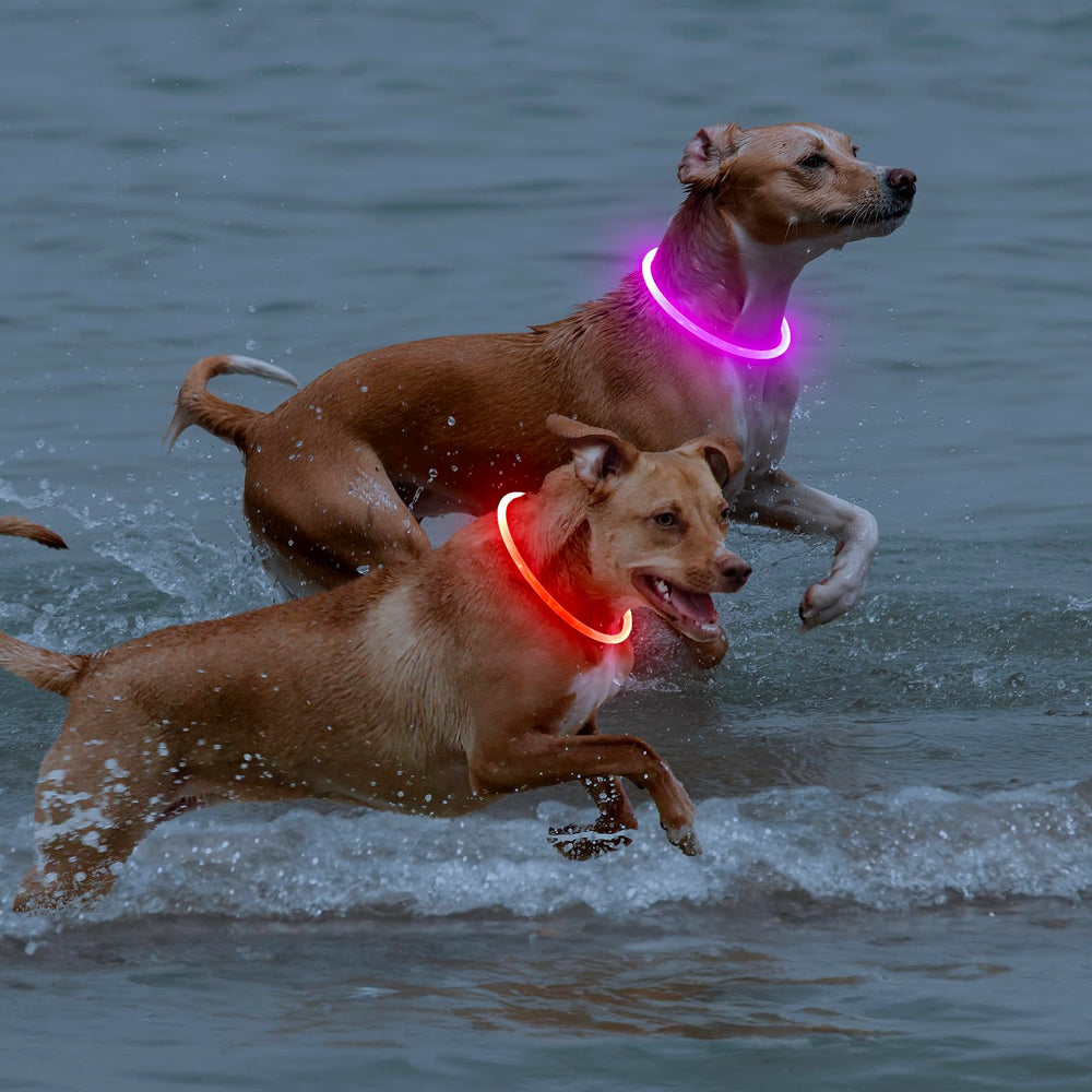 BPawser LED dog collar two-pack provides value with warranty and ongoing support.