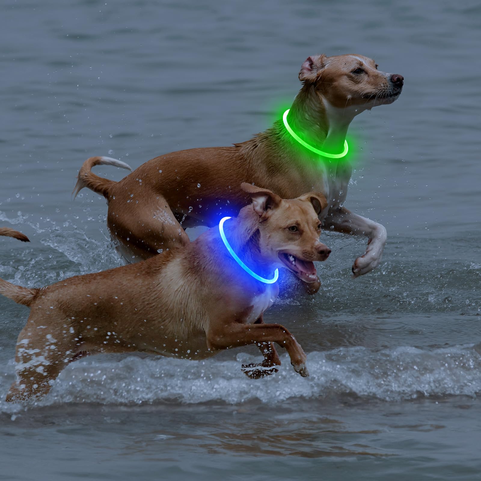 Bpawser LED dog collar waterproof and dustproof for all-weather reliability.